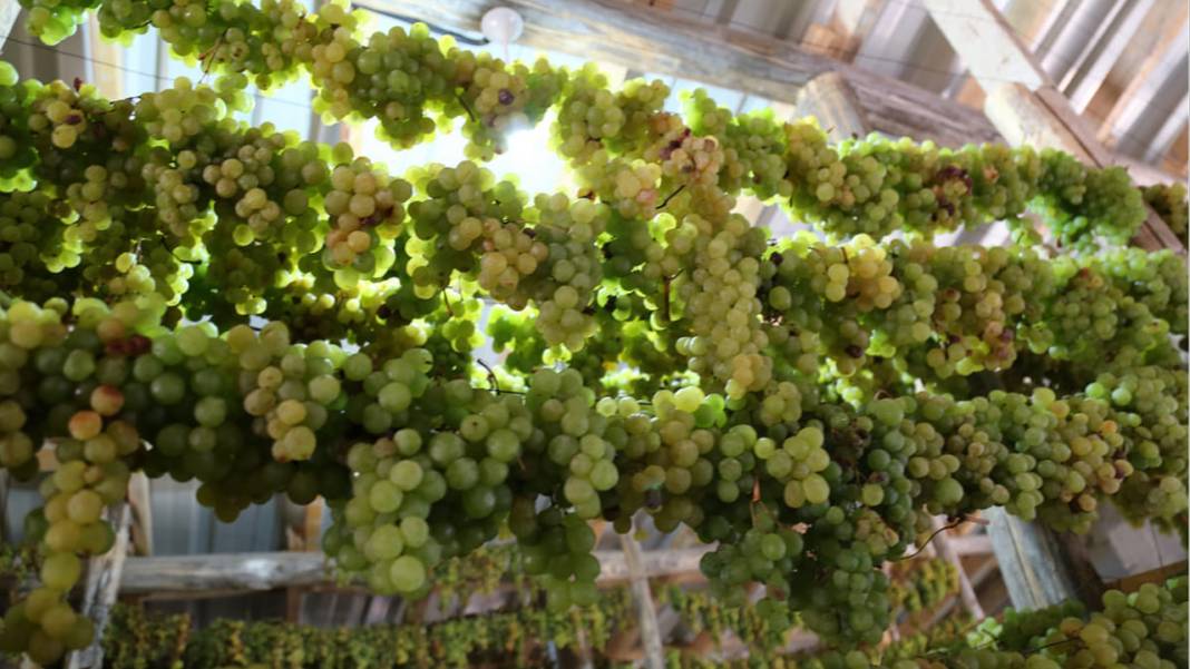 Konya’da yüz yıllardır süren bir gelenek: Üzüme farklı bir lezzet katıyor 6